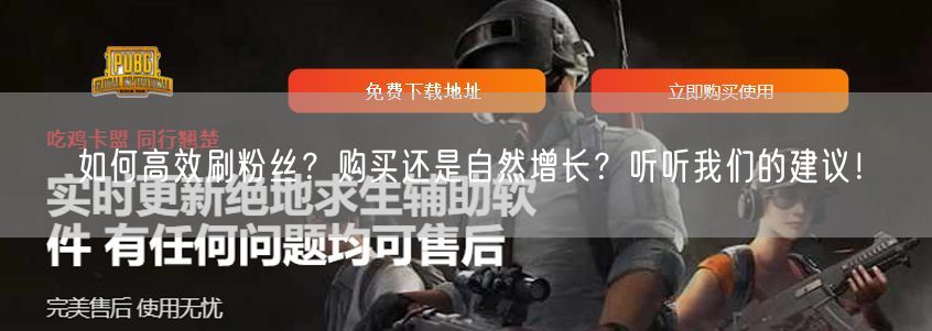 如何高效刷粉丝？购买还是自然增长？听听我们的建议！