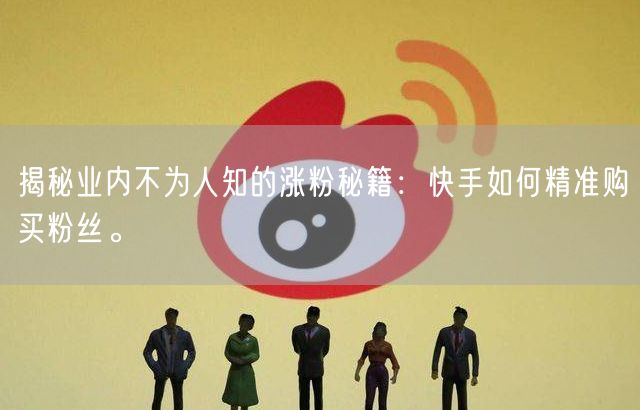 揭秘业内不为人知的涨粉秘籍：快手如何精准购买粉丝。